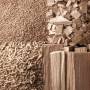 biomass.jpg